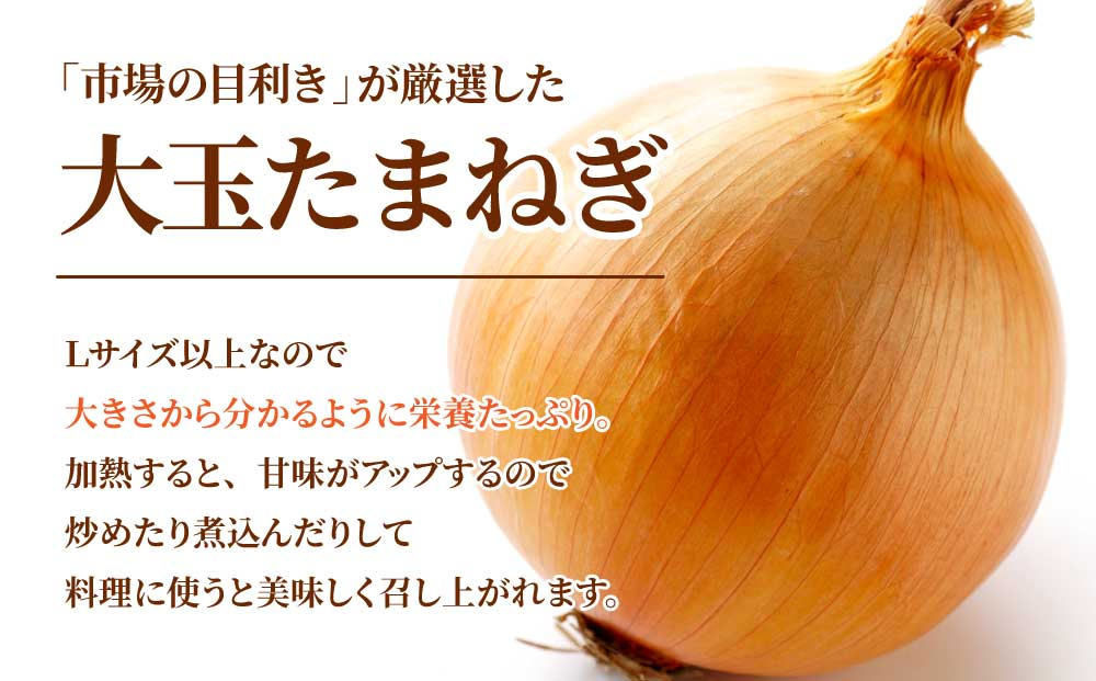 北海道岩見沢産たまねぎ 10kg (市場の目利き・岩力ブランド) | 玉ねぎ タマネギ 玉葱 オニオン 野菜【a142-006】 10kg