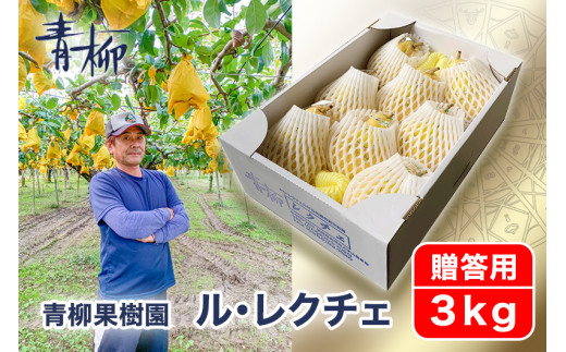 【2026年先行予約】新潟特産 幻の洋梨ル・レクチェ 贈答用 3kg（7〜9玉）〈11月下旬～順次出荷〉 ルレクチェ ル・レクチエ ルレクチエ ギフト 新潟県 特産 ギフト 果物 フルーツギフト 冬の味覚 産地直送加茂市 青柳果樹園