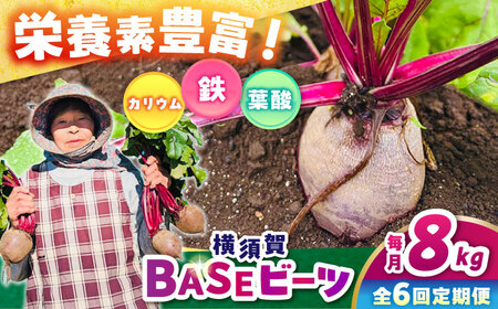 【全6回定期便】横須賀BASEビーツ 8kg（1kg×8袋）【ゆり子ファーム】[AKCR008]