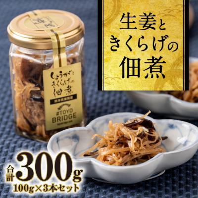 ふるさと納税 八代市 生姜ときくらげの佃煮 3本セット 生姜_065-4001-D