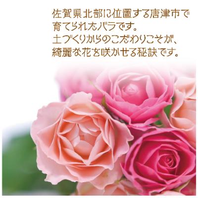 ふるさと納税 唐津市 唐津産　カラーおまかせ15本のバラの花束 |  | 02