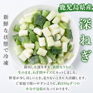 ＜先行予約受付中！2025年2月中旬以降順次発送予定＞冷凍深ネギ(ねぎ間サイズ：計2kg・250g/袋) 野菜 冷凍 冷凍野菜 小分け ねぎ ネギ 深ネギ 小口切り 斜め切り ねぎま 簡単 手軽 小分