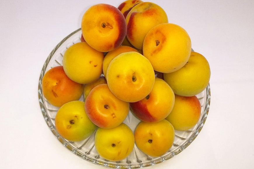 
                  ［梅干しづくり用］紀州南高梅・優５ｋg（３Ｌ）
                