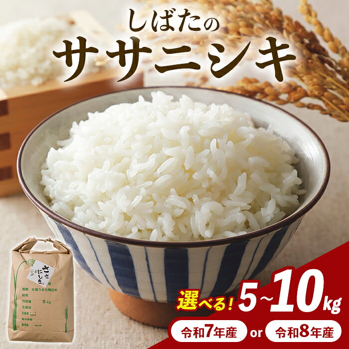 【ふるさと納税】＜令和8年産 5kg・先行予約受付中！＞しばたのササニシキ 精米 選べる内容量 5kg～10kg 選べる年産 令和7年産・令和8年産 柴田町産 お米 おこめ 米 コメ 白米 ご飯 ごはん おにぎり お弁当 ささにしき 新米【しばたの未来株式会社】sh138・sh139・sh198