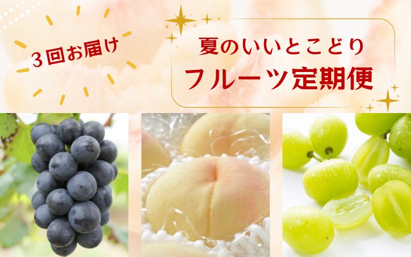 【3か月定期便】夏のいいとこどりフルーツ定期便♪桃・ピオーネ・シャインマスカット / 果物 フルーツ くだもの フルーツ定期便 定期便 くだもの定期便 もも モモ 桃 葡萄 ぶどう マスカット【tkb