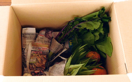 No.527 【有機野菜の定期便3ヶ月】ガバレ農場の季節の有機野菜詰め合わせセット