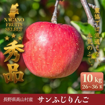 【ふるさと納税】ふじりんご 10kg(26～36玉)|常温配送・2025年12月以降発送|長野県高山村産【1691148】