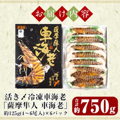 ふるさと納税 霧島市 活き〆冷凍車海老「薩摩隼人車海老」約125g(4〜6尾入)×6パック【MBC開発】　D-004 |  | 02