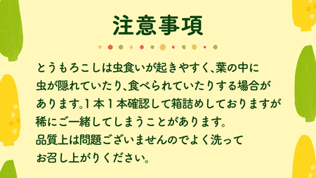 【先行予約 令和7年 6月下旬 以降発送 】 朝採り とうもろこし （ ゴールドラッシュ ） 約 3.5kg トウモロコシ 朝採り 甘い 新鮮 スイートコーン コーン 野菜 極甘 岩田さん 2025 