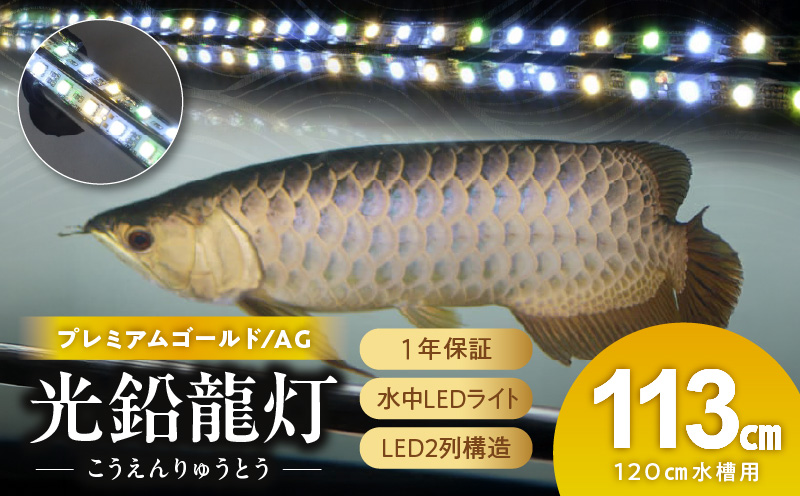 水槽全体を明るく照らし、鱗を際立たせる!金龍専用の高輝度水中ライト|AG120-EX［172C17］金龍 専用 プレミアムゴールド 水中 アロワナ 高輝度 水槽ライト テンニングライト グラデーション 3色 LED ライト 照明 水中照明 光 綺麗 強化ガラス 吸盤 1年保証 簡単 設置 でんらい インテリア 雑貨 愛知県 小牧市 送料無料