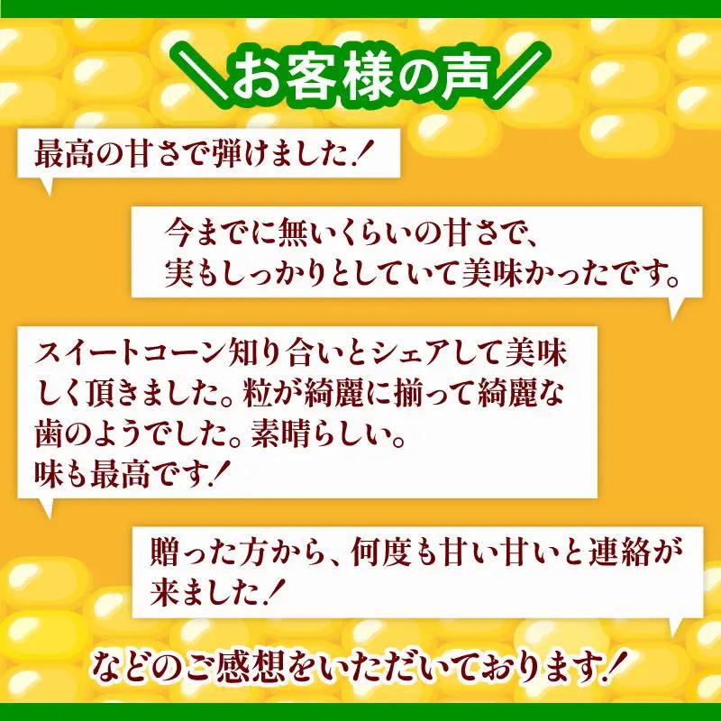 【先行予約】訳あり スイートコーン ゴールドラッシュ 10本 朝採れ コーン HY023