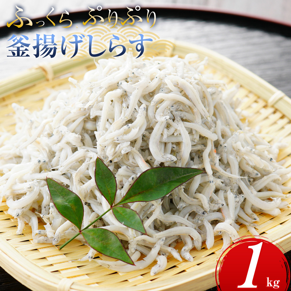 ふっくら,ぷりぷり 釜揚げ しらす 1kg(500×2パック)