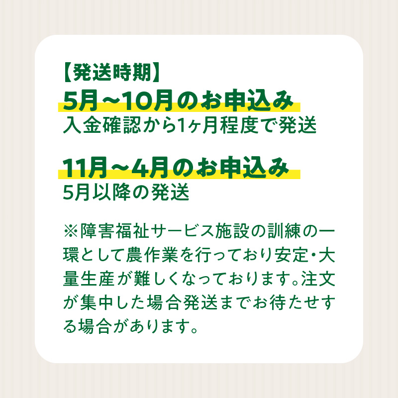 ネオコスモ農園で採れた小牧の野菜詰め合わせ［124N01］_イメージ5