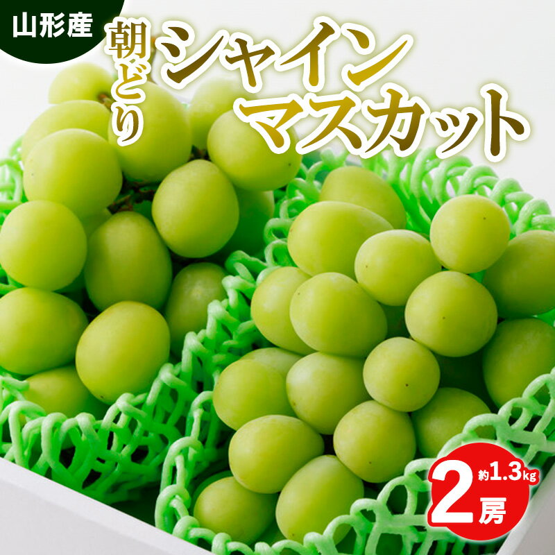 【ふるさと納税】朝どりシャインマスカット 秀品 2房 約1.3kg【令和7年産先行予約】 FS24-010 くだもの 果物 フルーツ 山形 山形県 山形市 2025年産