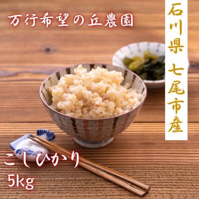ふるさと納税 七尾市 【令和8年産】万行希望の丘農園 こしひかり 5kg