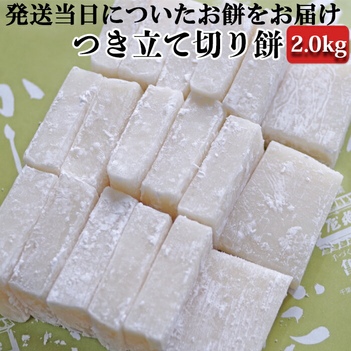 【ふるさと納税】【日時指定必須】つきたて「切り餅」（2.4kg） [0011-0042]
