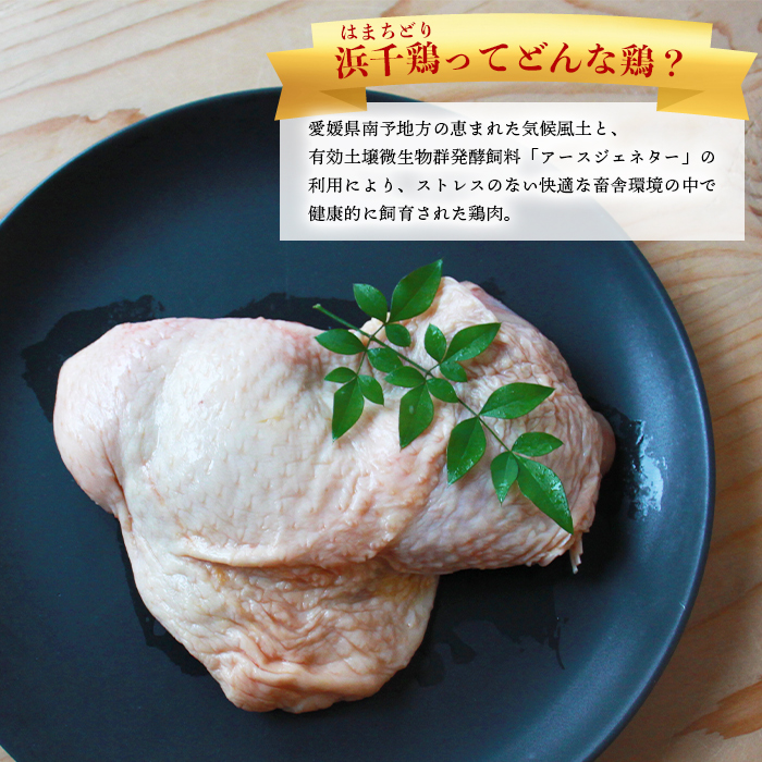 ＜【3ヶ月定期便】銘柄鶏 浜千鶏 愛媛県産 若鶏もも肉 3kg（1kg×3）＞ 国産 鶏肉 鳥肉 とり チキン モモ肉 はまちどり ブロック 精肉 にく 料理 アレンジ 夕飯 夕食 お弁当 昼食 唐揚