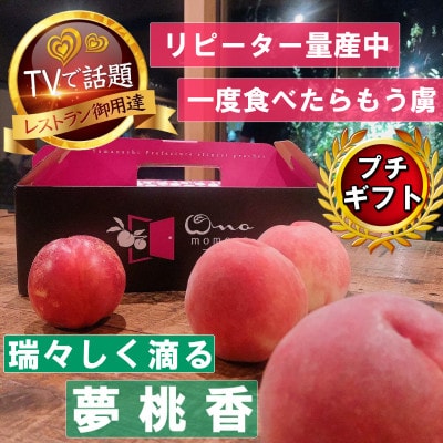 2027年発送先行受【瑞々しく滴る次世代を担う夢桃香】人気品種指定ギフト5年連続TV出演話題ブランド【配送不可地域：離島・北海道・沖縄県・中国・四国・九州】