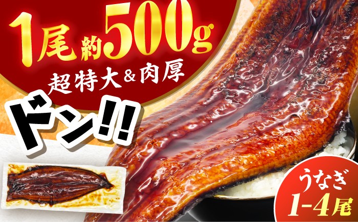 
                  【新登場】【1尾約500g】【選べる容量】超特大 うなぎ蒲焼 冷凍 うな重 ひつまぶし 鰻 ウナギ unagi 蒲焼 蒲焼き うなぎの蒲焼き 広川町 / 株式会社イールファクトリー [AFBS031]
                