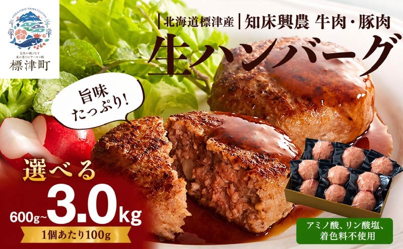 
                  【無添加】 生 ハンバーグ 選べる6~30個 3~15パック( 1パック 100g ×2 ) 北海道産 国産 おすすめ 保存料不使用 牛肉 豚肉 国産ハンバーグ 冷凍ハンバーグ 合いびき 合い挽き あいびき ギフト 小分け 人気 便利 冷凍 豚肉 牛肉 はんばーぐ ぽーく ぎゅうにく 肉 ひき肉 hannba-gu お弁当 おかず 惣菜 お惣菜 家庭用 子ども 子供 こども 北海道 標津町
                