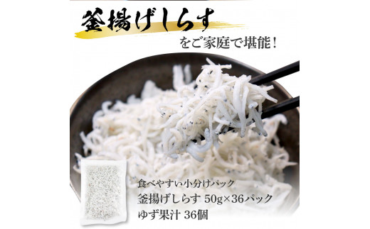 高知県産釜揚げしらす 50g×36パック 簡易梱包 小分け 国産 釜揚げ シラス丼 海鮮丼 ゆず付 お茶漬け 軍艦巻き 手巻き寿司 36人前 大容量 冷凍配送 おかず お取り寄せ のし対応 ギフト