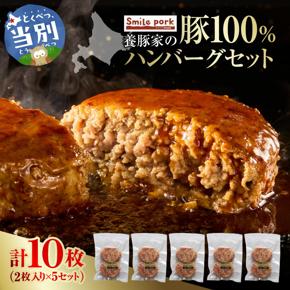【ふるさと納税】養豚家の豚100％ハンバーグセット 120g2枚入りパック×5セット計10枚 豚肉 肉 厳選 国産 お取り寄せ グルメ おかず おすすめ スマイル ポーク 加工品 惣菜 簡単 冷凍 キャンプ BBQ 浅野農場