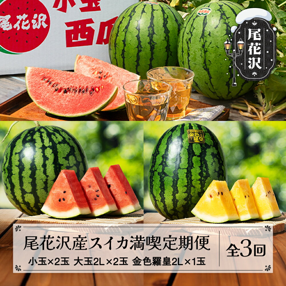 【ふるさと納税】先行予約 尾花沢産スイカ満喫定期便 全3回 7月中旬〜8月中旬頃発送 2025年産 令和7年産 金色羅皇 こんじきらおう 黄金 金色 黄色 すいか スイカ 西瓜 フルーツ 果物 フルーツ定期便 果物定期便 定期便 食べ比べ 山形県 kb-tksux※沖縄・離島への配送不可