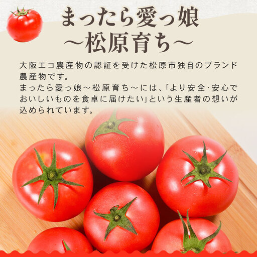 【先行予約】 トマト 約4kg トマト 大玉