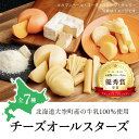 【ふるさと納税】 チーズオールスターズ ふるさと納税 チーズ 乳製品 カマンベール チェダー ゴーダ スモーク モッツァレラ セット 詰合せ 北海道 大空町 送料無料 OSA007