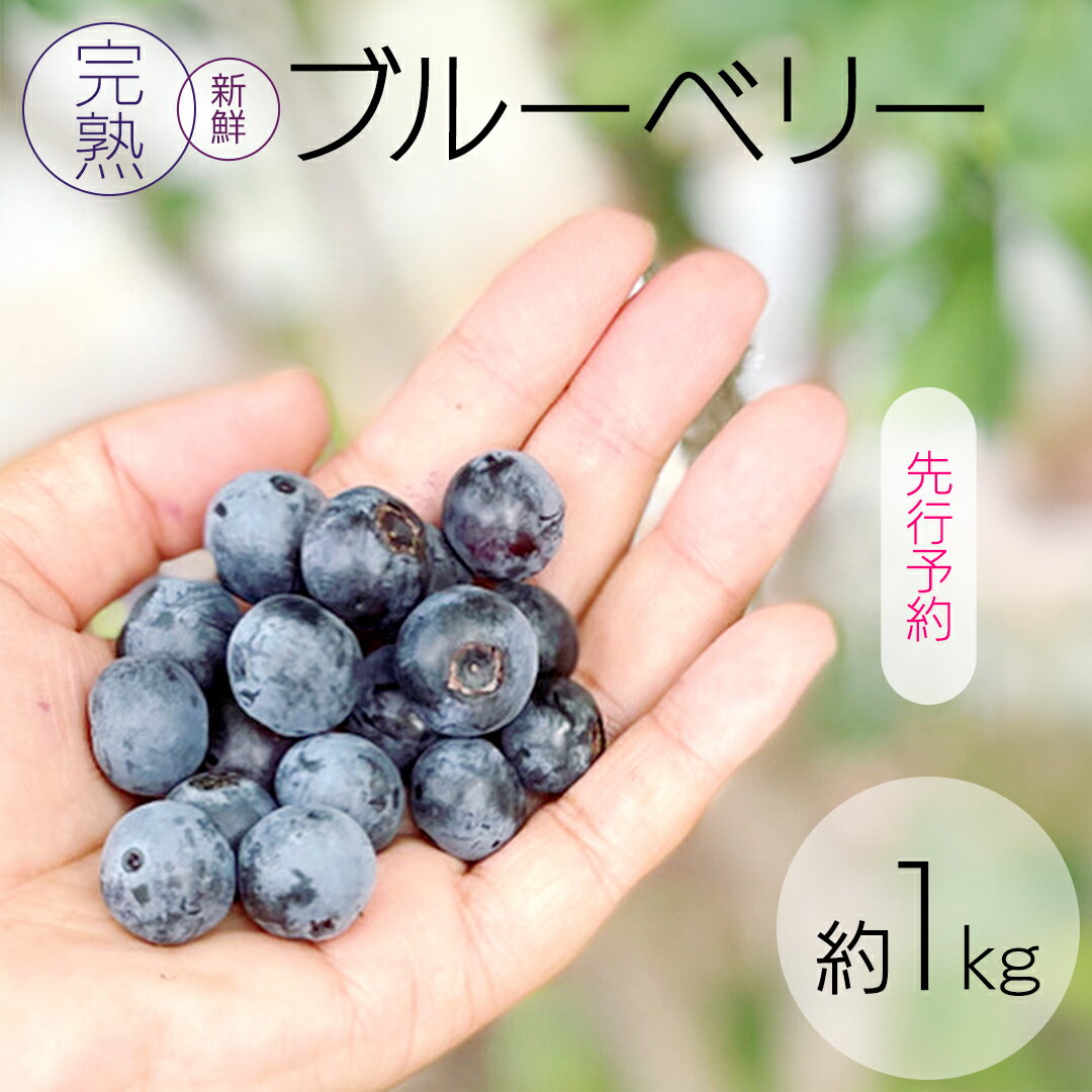 【ふるさと納税】《 先行予約 》完熟 新鮮ブルーベリー 約1kg 【2026年6月上旬頃より発送開始】＜ 産地直送 ＞ ベリー 1kg 1キロ 甘い 甘酸っぱい 冷凍 大粒 おいしい 美味しい フルーツ 果物 くだもの おやつ 無農薬 農薬不使用 お取り寄せ お土産 贈り物 贈答 ギフト 国産