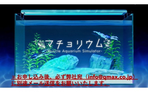 「マチョリウム -Muscle Aquarium Simulator-」 NintendoSwitch™版　オンラインコード