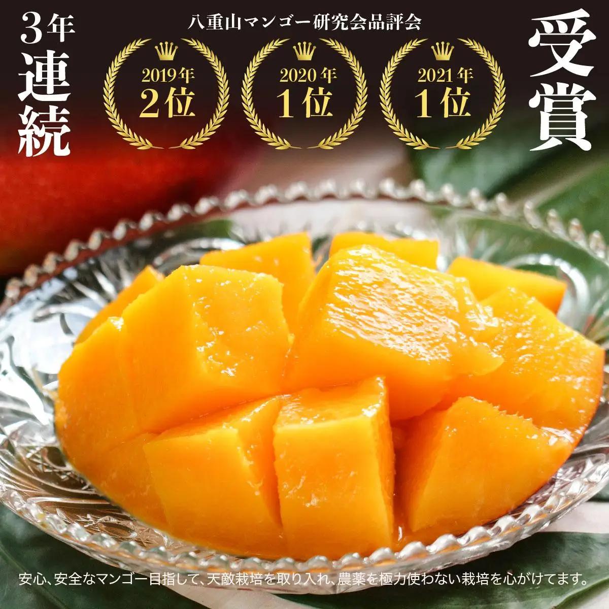 アップルマンゴー 約2kg 