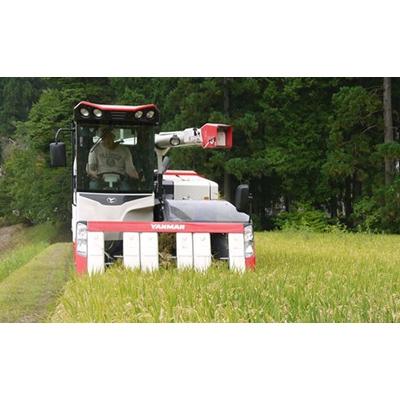 ふるさと納税 高山市 飛騨産 コシヒカリ さとう 特選米 5kg 岐阜県 飛騨高山 美味しい 米 CY022 |  | 01