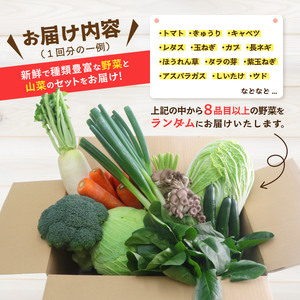 野菜 赤城南麓で育った季節の野菜 8品以上