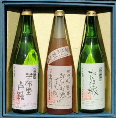 【ふるさと納税】純米酒「半布里戸籍」・本醸造酒「加治田城」・「黒米酒」3本