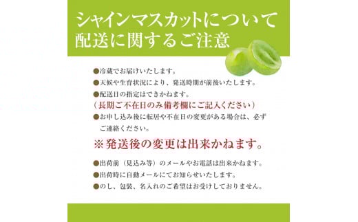 【先行予約】山梨県産シャインマスカット　2キロ箱 【2025年9月上旬から発送】 薬袋農園[5839-1001]