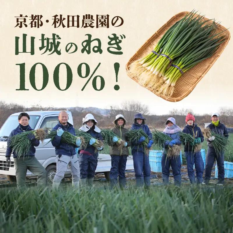 京都山城のねぎと国産しらすピザ 3枚セット 001-17-03
