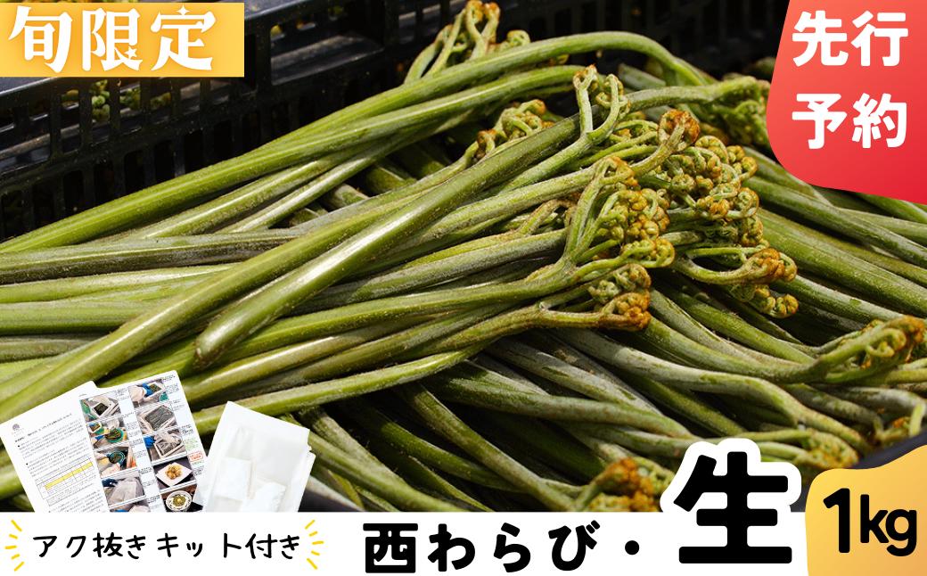 
            「西わらび・生」 〜おうちで簡単アク抜きセット～
          