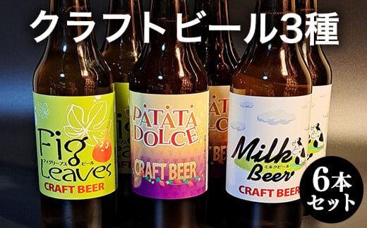 621.クラフトビール３種６本セット<br>※離島への配送不可 313726_AY004-P