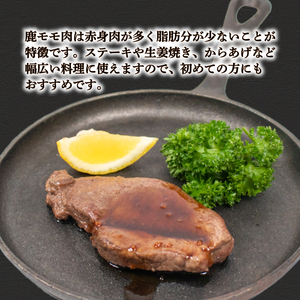 訳あり 鹿肉 もも ブロック 約1kg ジビエ 鹿肉 鹿肉 鹿肉 鹿肉 鹿肉 鹿肉 冷凍 BM108