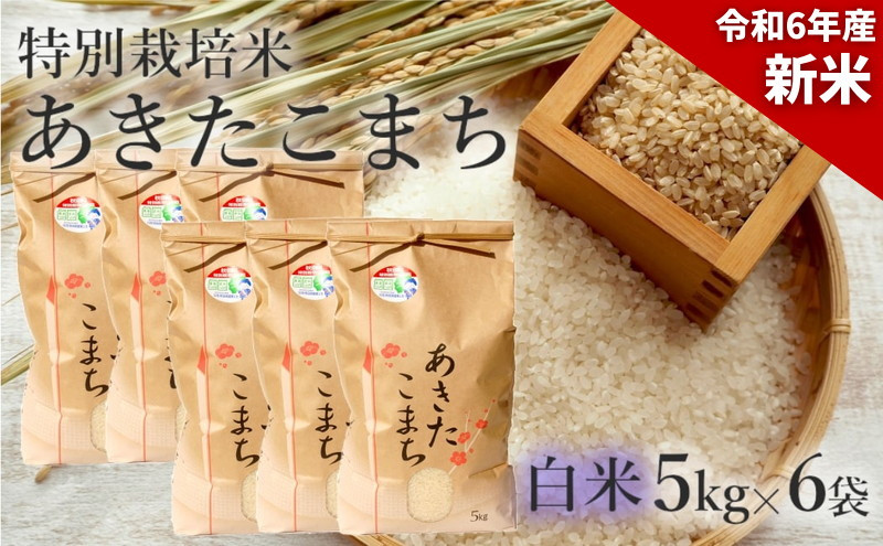 
            新米 米 お米 【白米】特別栽培米 あきたこまち 30kg（5kg×6袋） 秋田県産 令和6年産
          