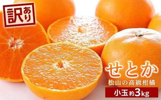 
                  【2027年2月中旬頃から順次発送】せとか＜小玉＞ 約3kg | せとか 愛媛県 松山市 柑橘 小玉 こだま セトカ せとか みかん mikan かんきつ フルーツ 果物 くだもの お取り寄せ グルメ 送料無料 愛媛 松山
                