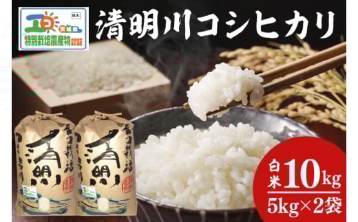【先行予約】新米令和7年産茨城県特別栽培認証 清明川コシヒカリ白米5kg×2袋　米 おこめ こしひかり  特別栽培米 農家直送 直送 茨城県 阿見町（04-02-1）