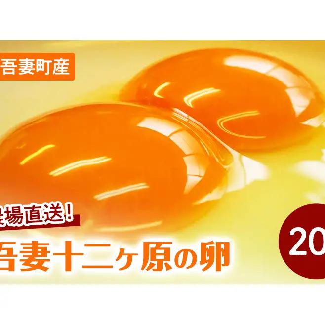 卵吾妻十二ヶ原の卵堀田養鶏場二黄卵卵【20個】