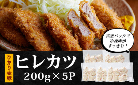 鹿児島県産 ひかり麦豚 ヒレかつ 計1kg （200g×5パック）衣つき トレーなし 冷凍 | 肉 お肉 にく 豚肉 黒豚 かごしま黒豚 ヒレ肉 トンカツ 冷凍 解凍して揚げるだけ 加工品 真空冷凍 