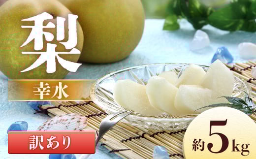 【2026年発送先行予約】梨 幸水※訳あり品 ※ 約5kg【8～16玉】※2026年8月中旬～9月上旬発送予定※