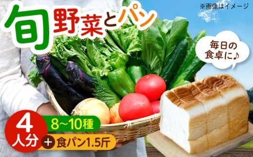 野菜セット 愛菜連のおまかせ野菜パック（４人用）と愛菜連ブレッド（食パン1.5斤）のセット 野菜詰合せ 旬 旬の野菜 産地直送 ミネラル ビタミン 豊富 パン 食パン 人気 おすすめ 美味しい おいしい 新鮮 お取り寄せ ギフト 贈り物 プレゼント 野菜 お任せセット おまかせ 朝食 炒め物 煮物 トースト サンドイッチ 食育 広島県福山市/マルフク株式会社 [BAFW003]