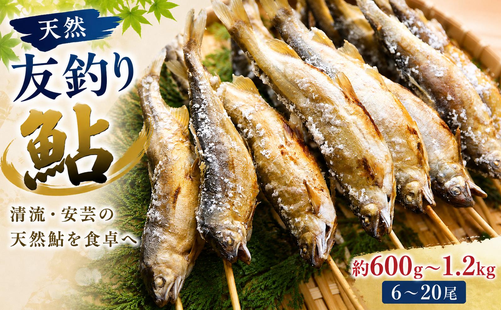 
                  令和8年度産 天然友釣り鮎 鮮度抜群  約 600g 約 1.2kg 6~20尾 選べる AYU 冷凍 塩焼き 甘露煮 季節 美味 国産 天然 アユ 天然鮎 川魚 鮮魚 魚介 清流 あゆ 香魚 小分け 個包装 便利 簡易 簡単 簡単調理 便利 高知県 安芸川 伊尾木川 清流 急速冷凍 地元 貴重 独特 香り  処理済み 安芸水産 安芸市 高知県
                