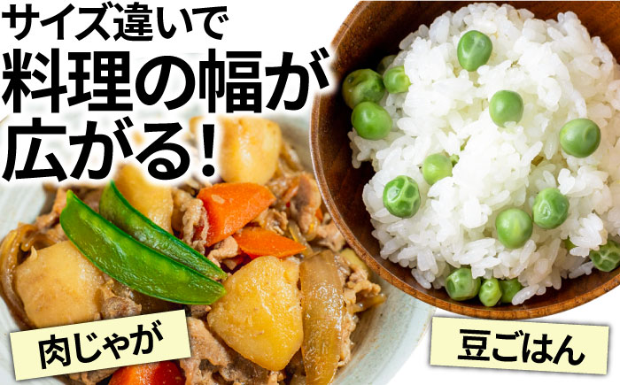 【2025年1月~発送】スナップエンドウ　サイズ違い　食べ比べセット　100g × 5袋 / 小分け / 南島原市 [SFL001]