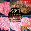 【ふるさと納税】【奇数月に計6回】佐賀牛 定期便 | 牛肉 サーロイン ステーキ 焼き肉用 赤身 佐賀牛ハンバーグ 焼き肉用 カルビ 佐賀牛100％ハンバーグ ロース ステーキ 黒毛和牛 和牛 奇数月 計6回 年6回 _f-81